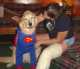 Superdog